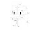  Florentina  FL (   ),  