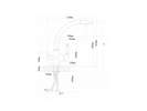  Florentina  FL (   ),  