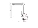  Florentina  FL (   ),  