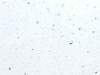  1/5 1200*3000*40 5108/1     ()    e3   