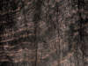  - 8113/R Black Quartzite ( ) 3050*1320*12 e2